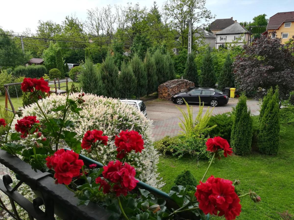 Voelgy Apartman Eger Exterior foto